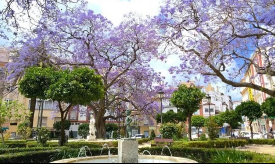 Appartamento Historical Center Ollerias Málaga Spagna
